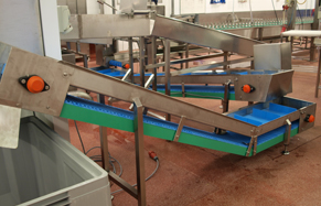 Trout_Conveyors