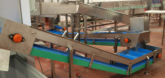 Stainless Steel Conveyor Belt Fabrication